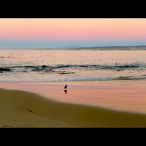 Meet your Posher, Sarah - Picture 1 of 1